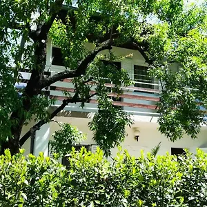 Felix Biograd Apartament